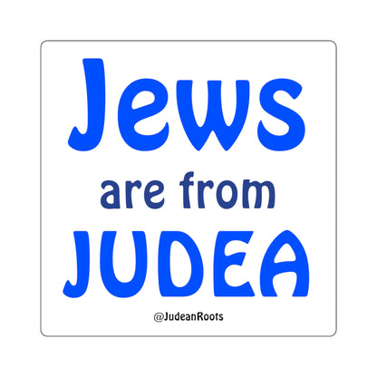 Jews are from Judea - Square Stickers